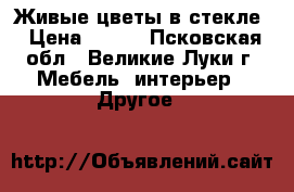 Живые цветы в стекле › Цена ­ 650 - Псковская обл., Великие Луки г. Мебель, интерьер » Другое   